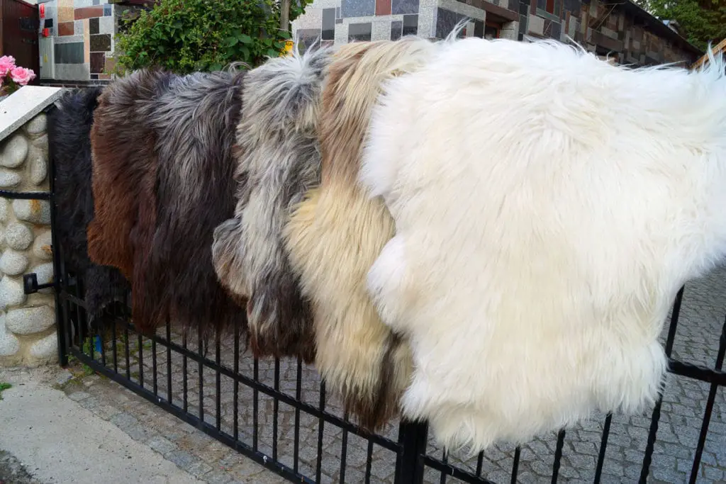 Hang it to dry in a sheltered area How To Clean Sheepskin Rug
