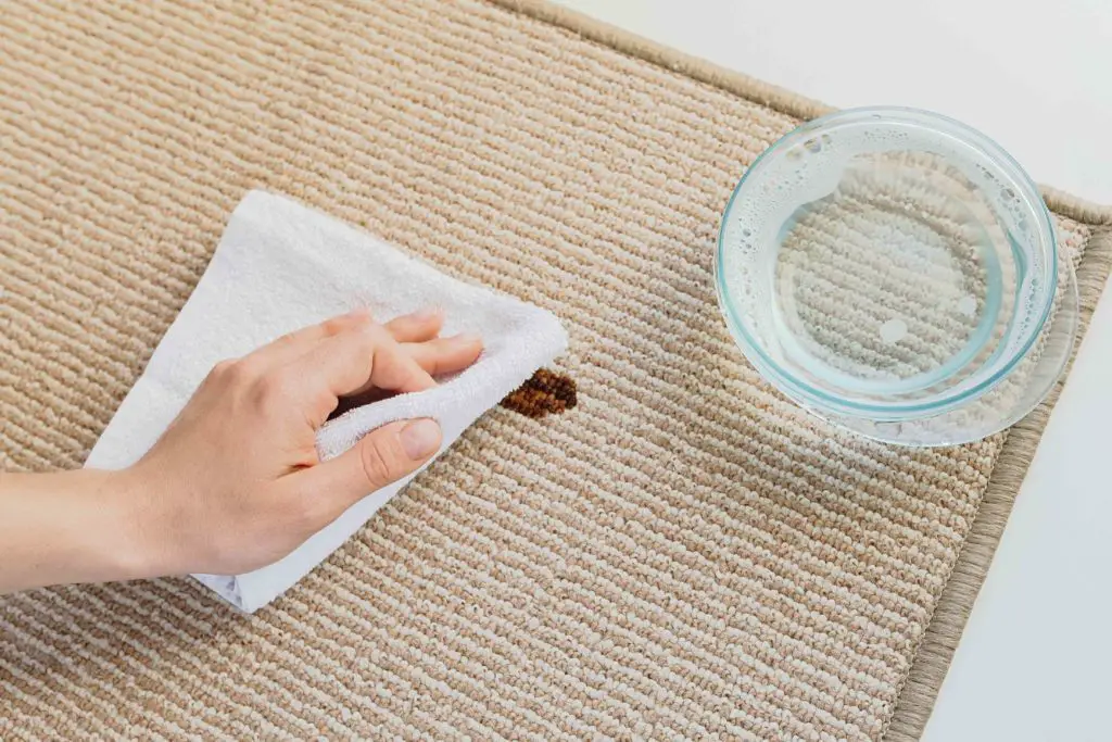 Removing Soy Sauce Stains Out of Your Carpet