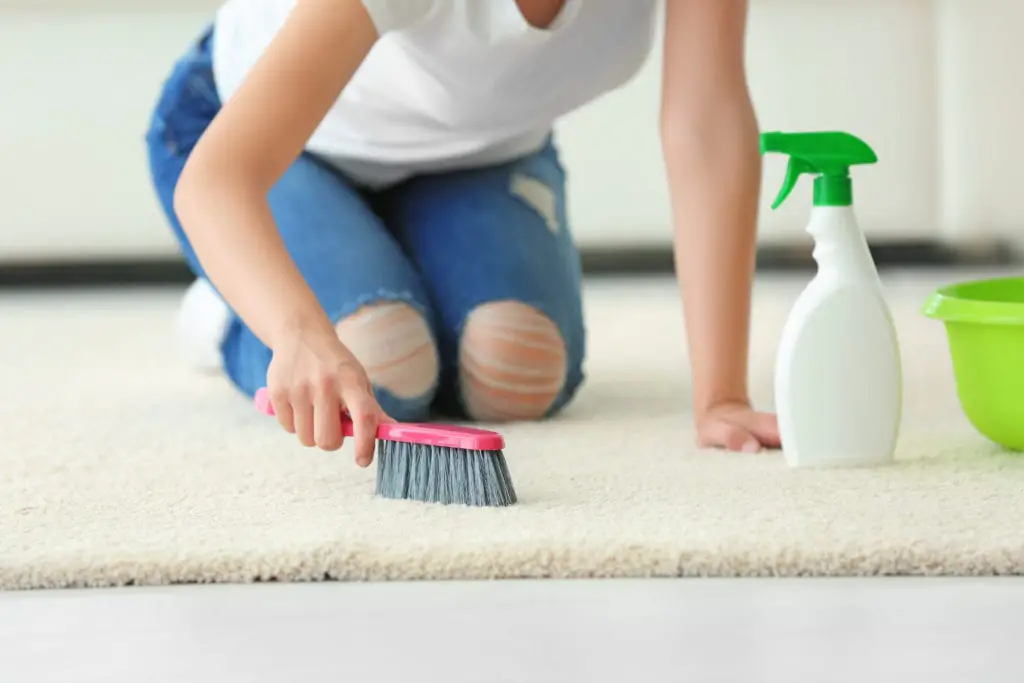 Rub the rug with a soft-bristle brush dipped in the solution
