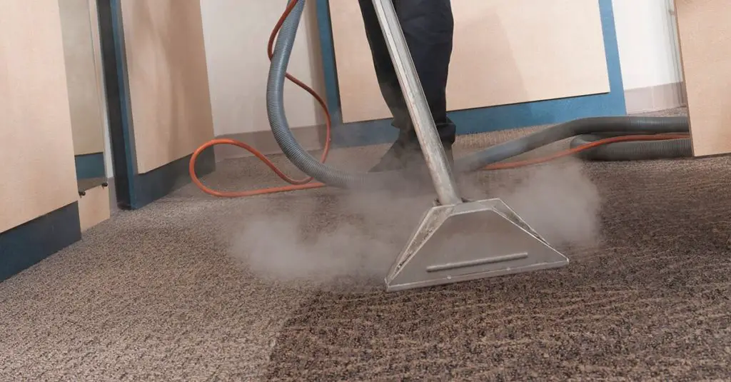 Using a hose, rinse the carpet with clean water