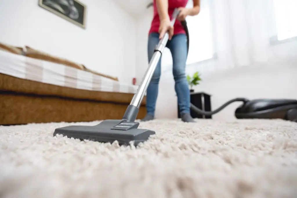 Vacuum any loose dirt or debris on the rug How To Clean Sheepskin Rug