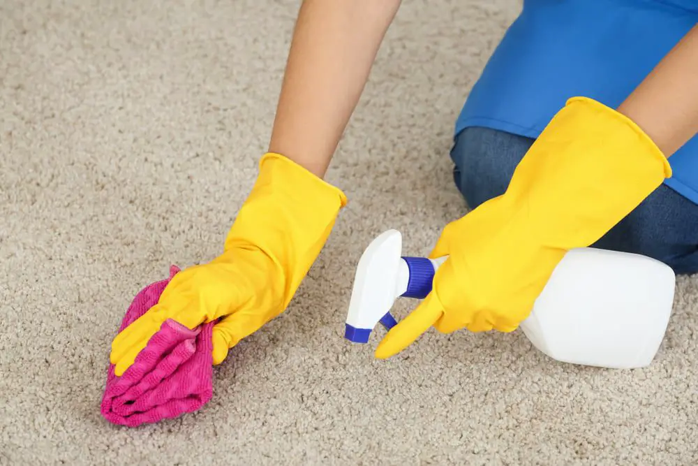 Use a carpet cleaner to spray the area