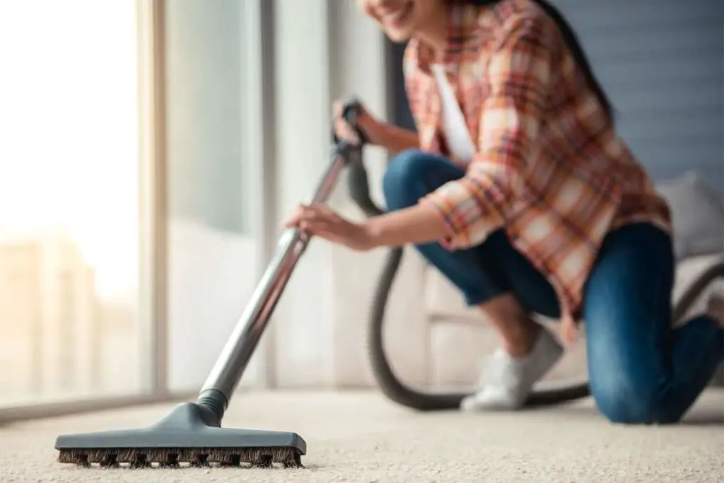 Vacuum and air dry How to Remove Wood Stain from Carpet?