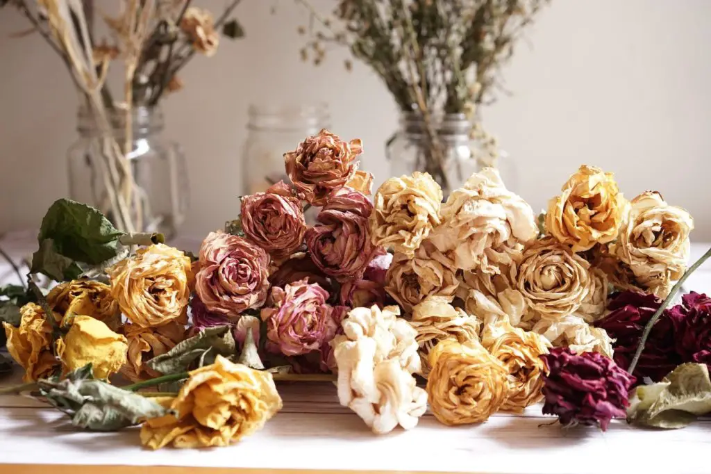 Mix Fresh and Dried Flowers Ideas