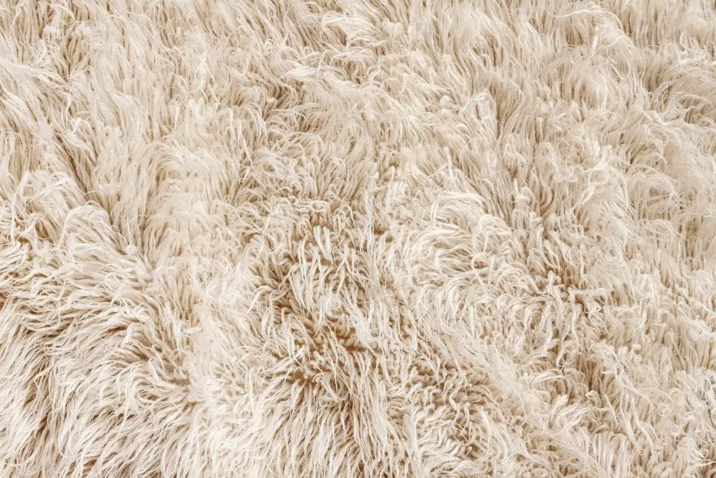 Select a luxurious wool carpet
