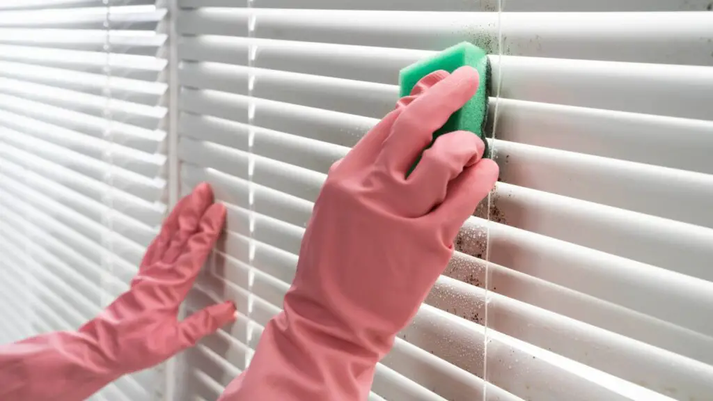 Clean the Blinds