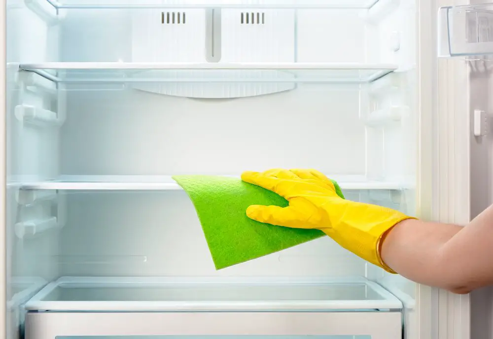 Cleaning, Draining, and Unplugging Your Refrigerator