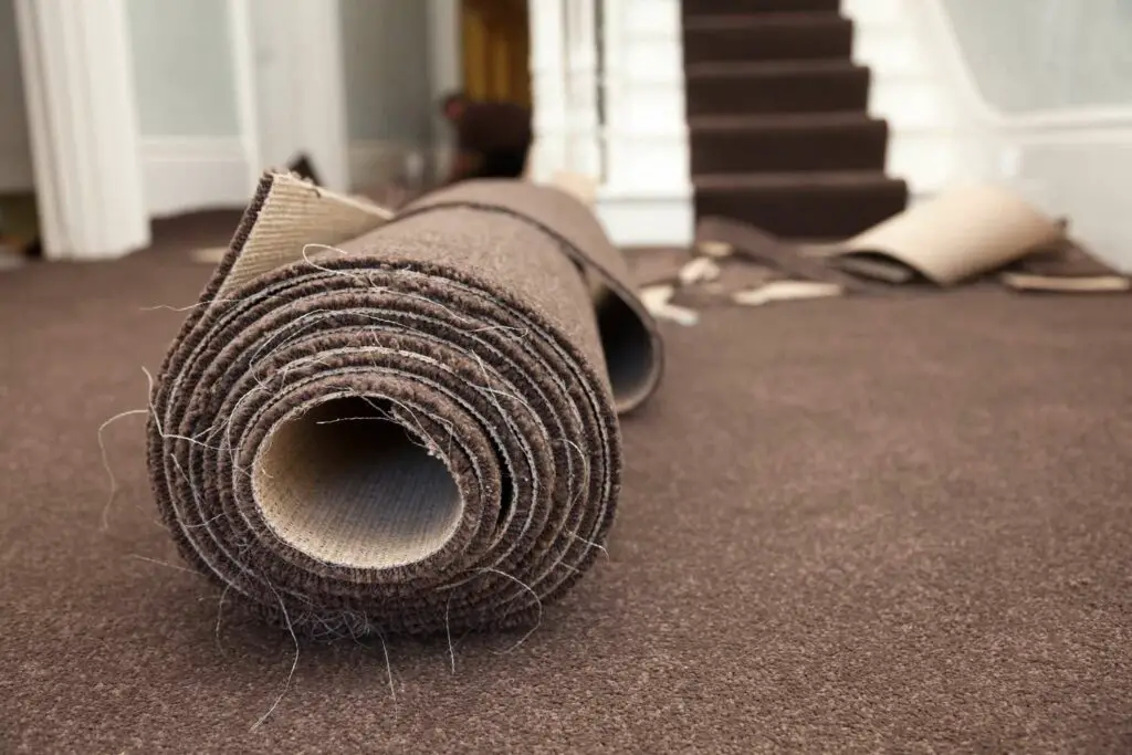 Replace Your Outdated Carpets To Reduce Dust in Your Home
