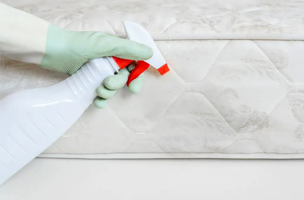 Spray fabric with a sanitizer