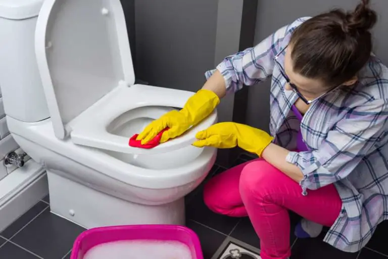 How to Remove Urine Stains from Toilet Seats