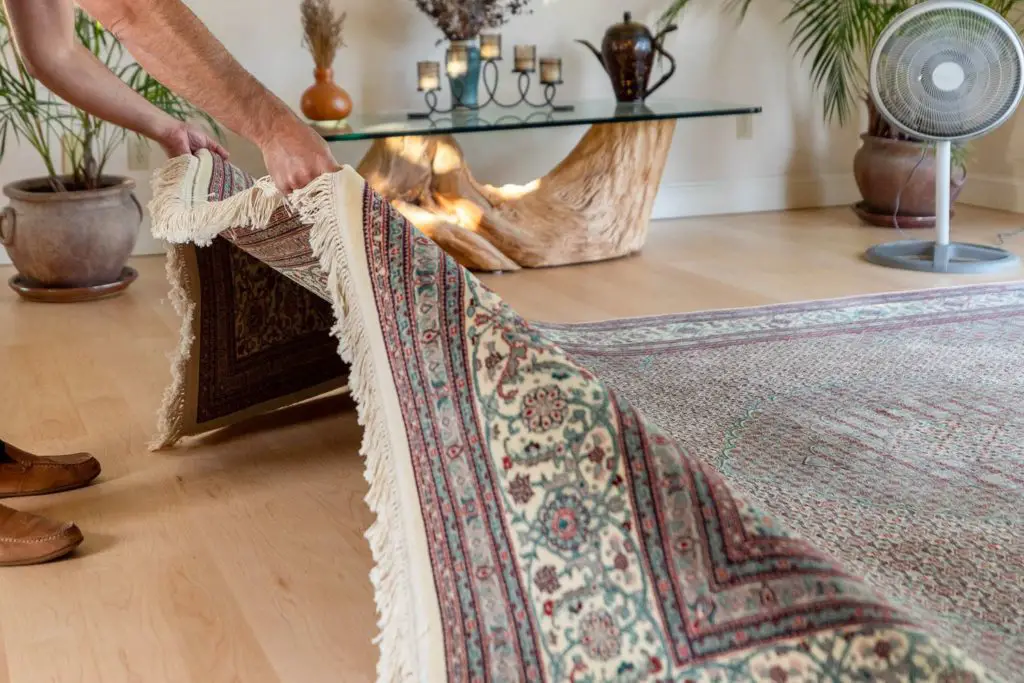 To remove dust, shake the rug outside: How to Clean Large Rubber-Backed Rugs