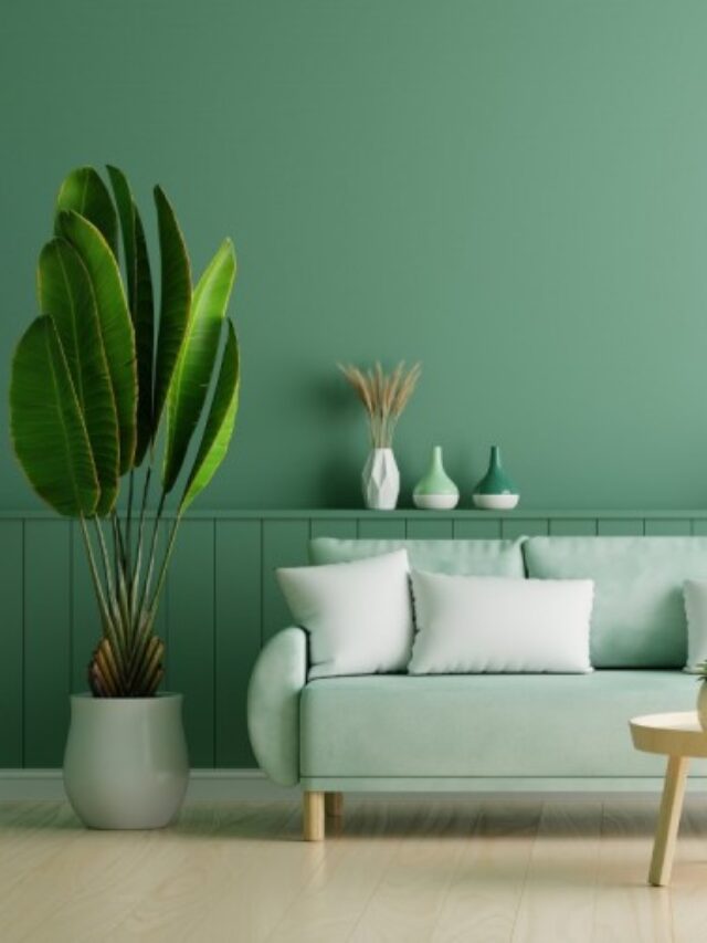 7-Green-Wall-Colour-Combinations-for-Home-Decor