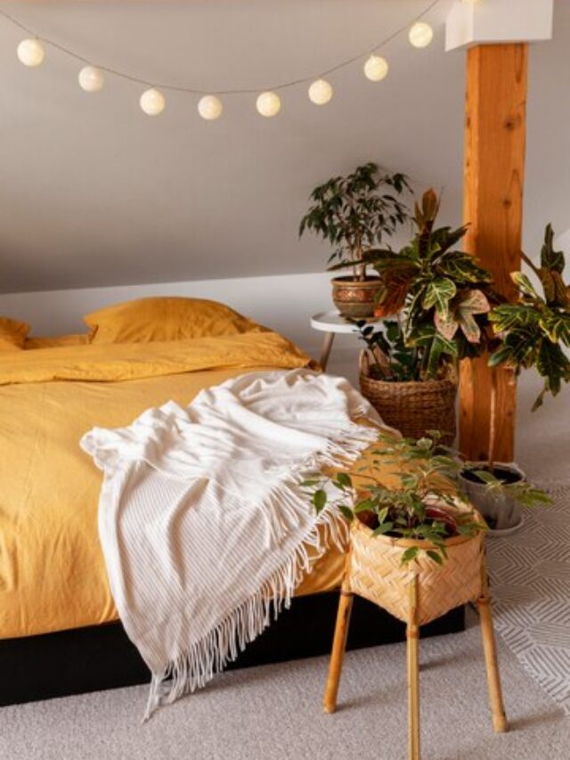 9-bedroom plants to boost a peaceful sleep